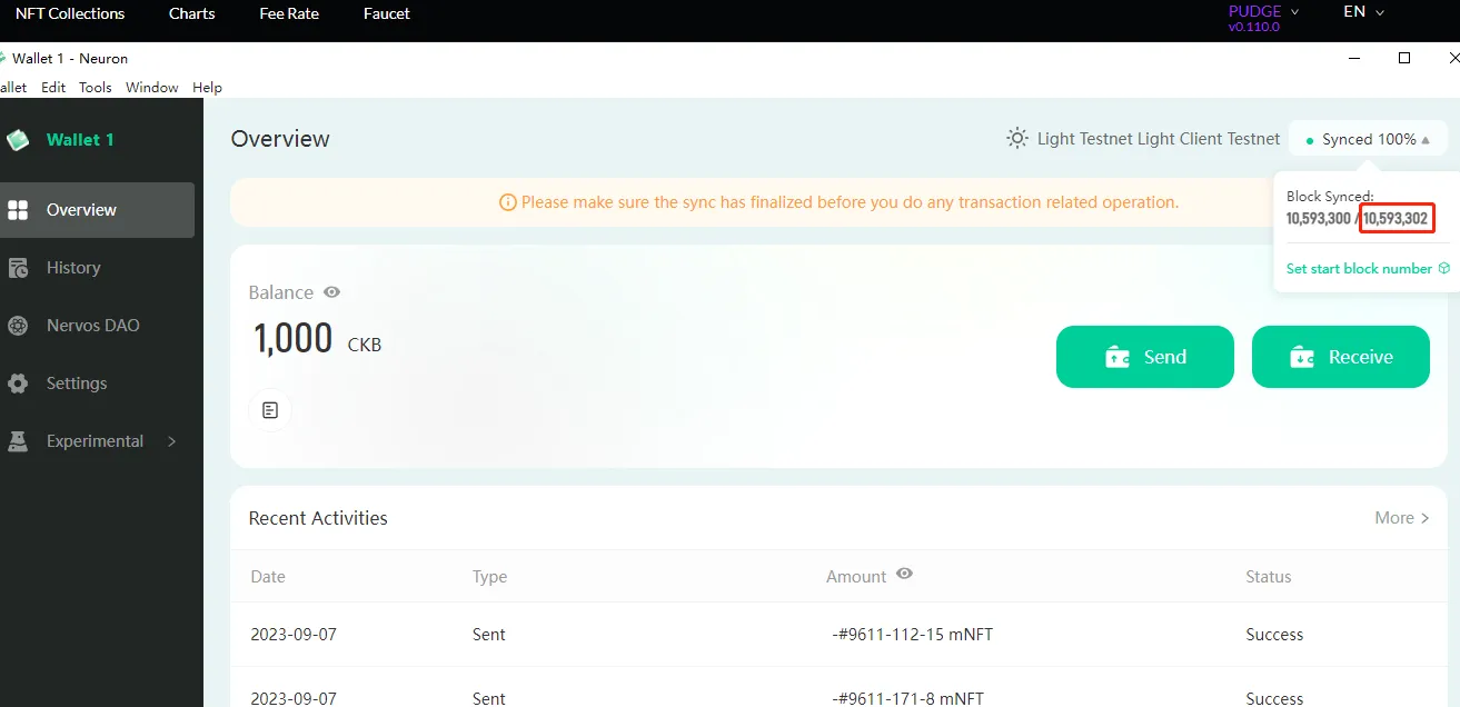 Neuron Wallet Overview screen with balance, sync status and recent activity